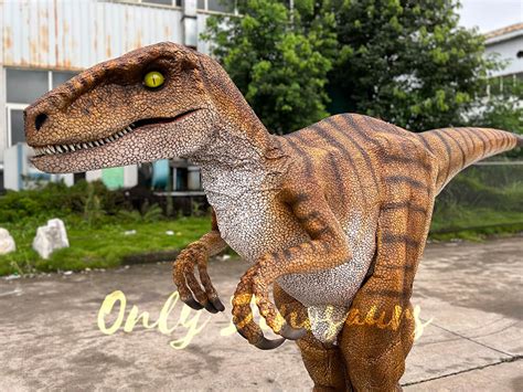 Vivid Velociraptor Realistic Costume | Only Dinosaurs