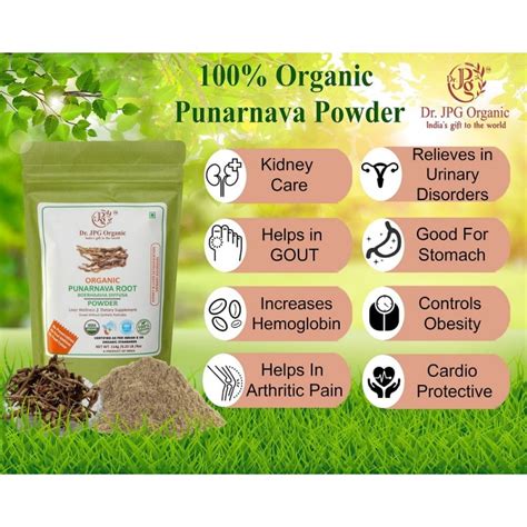 Punarnava Root Powder Online Punarnava Powder Buy Now