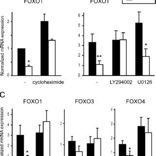 Role Of PI 3 Kinase In The FOXO Repression By PDGF A BJ HTert