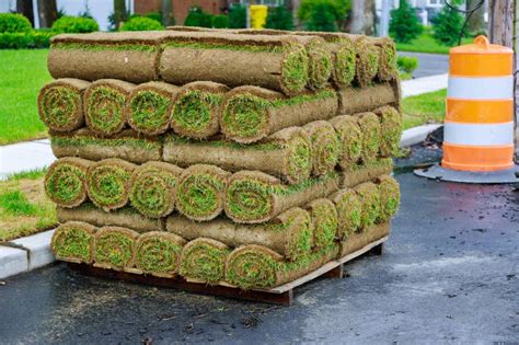 Stack Of Turf Grass Rolls For A Lawn Fresh Grass To Decorate Landscape Design Stock Image