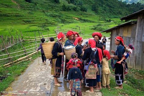 Tripadvisor Sapa Fansipan Peak 2 Tage 1 Nacht Mit Dem Bus Von Hanoi