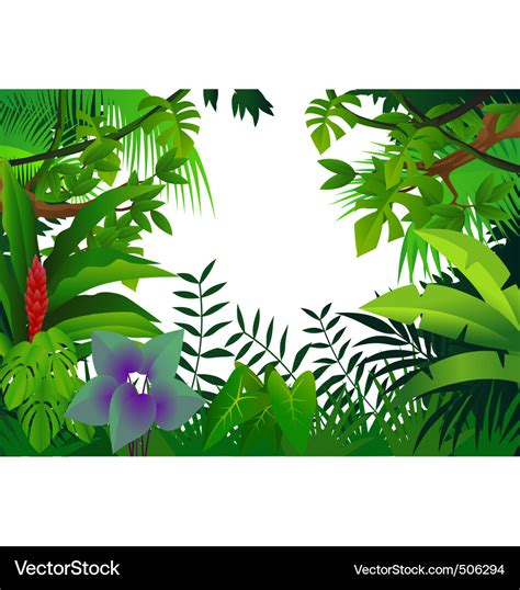 Tropical Rain Forest Royalty Free Vector Image