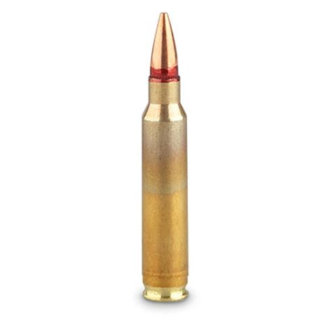 300 Rds 223 5 56x45mm 62 Grain FMJ Ammo With MTM Can 594117 223