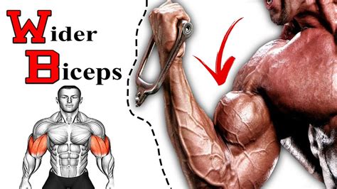 Best Bicep Exercises At Gym Get Wider Biceps How To Get Wider Biceps