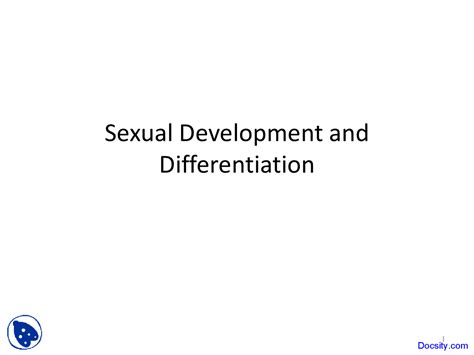 Sexual Development And Differentiation Psychology Of Sex Lecture