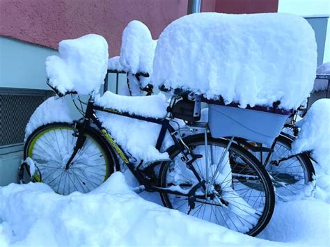 Snow Paralyses Parts Of Southern Germany Gulf Times