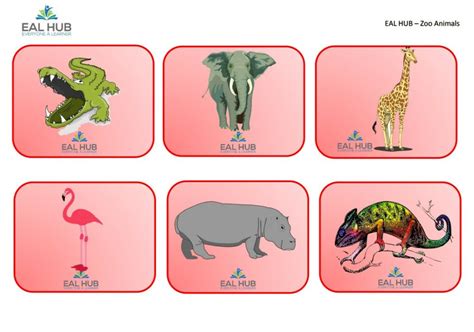 Zoo Vocab Pack Eal Hub