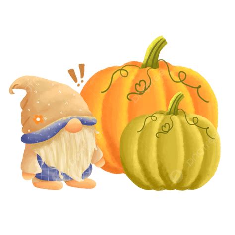 Illustration Of A Surprised Gnome Looking At Huge Autumn Pumpkin