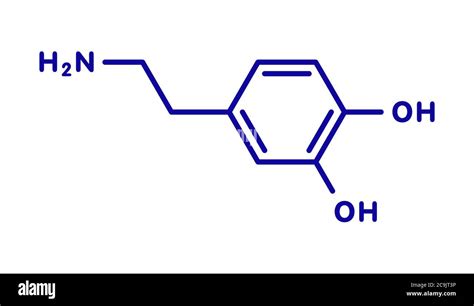 D Couvrir Imagen Formule Dopamine Fr Thptnganamst Edu Vn