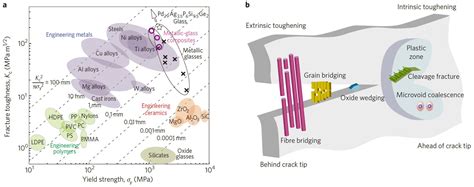 Science：地表最“韧”材料，温度越低它越韧 X Mol资讯