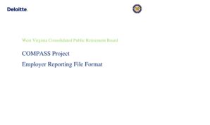 Fillable Online Compass Project Employer Reporting File Format Fax