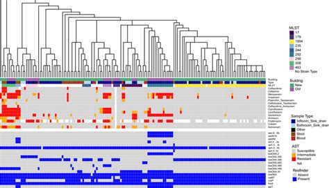 Phenotypic And Genotypic Antibiotic Resistance Of Collected P