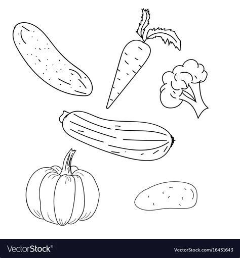 Vegetables Outline Hand Drawing Royalty Free Vector Image