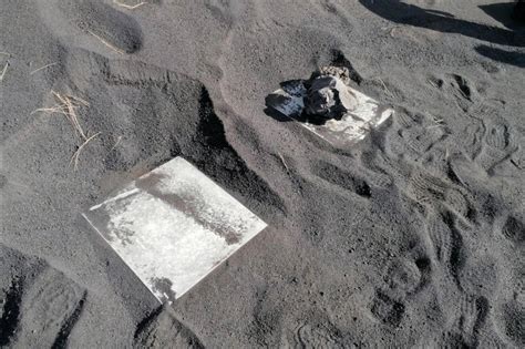 Vulcano Canarie La Lava Inghiotte La Spiaggia Salve Migliaia Di Api