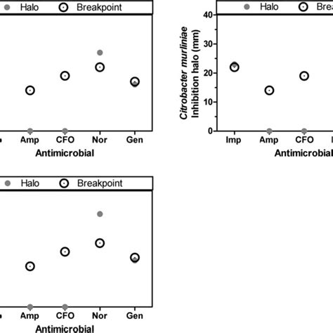 Antimicrobial Susceptibility Profiles Of The Enterobacteriaceae Download Scientific Diagram