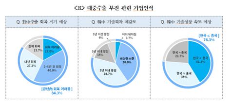 수출기업 10곳 중 8곳 對中 수출 회복 연내 어려울 것 네이트 뉴스