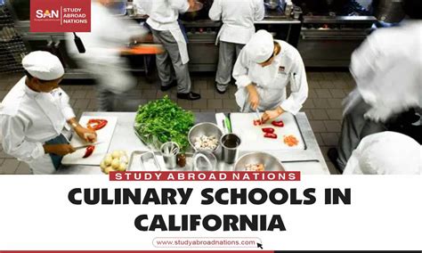 6 Best Culinary Schools In California | Fees & Details 2023