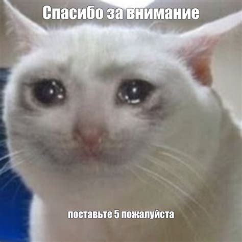 Мем Спасибо за внимание поставьте 5 пожалуйста Все шаблоны Meme