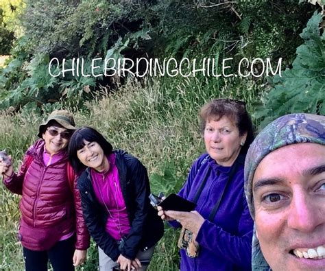 2024年 Chile Birding Chile 出発前に知っておくべきことすべて トリップアドバイザー