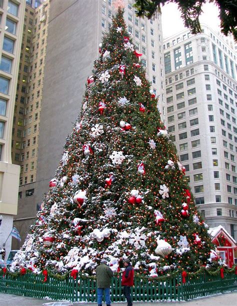 Unveiling the Rich History of Chicago's Official Christmas Tree