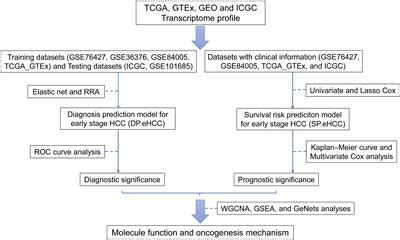 Frontiers Identification Of Gene Signatures For Diagnosis And