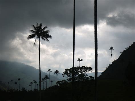 Best Time to Visit Colombia: Its Weather & Seasons | Andean Trails