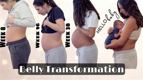 Pregnancy Transformation Week By Week Belly Progression Baby