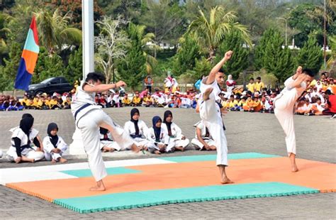 Atraksi Tarung Derajat Dan Pencak Silat Meriahkan Haornas Di Madina