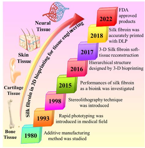 3D bioprinting has evidenced significant development and potential ...