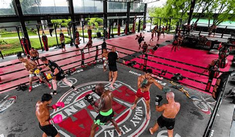 Best Muay Thai Gyms In Thailand Unleash Your Inner Warrior Thai