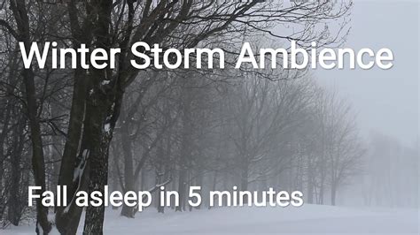 Winter Storm Ambience With Icy Howling Wind Sounds Snowfall YouTube