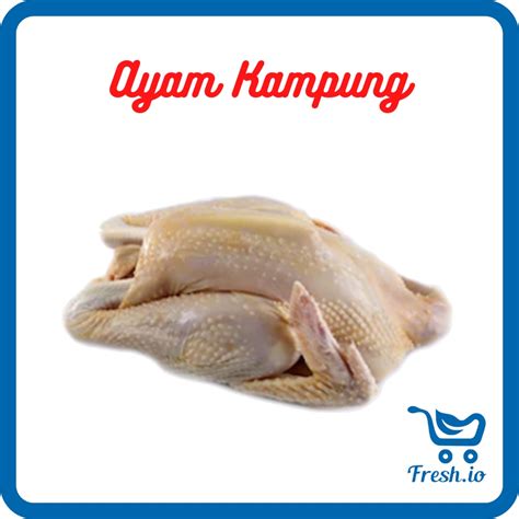 Jual Ayam Kampung Shopee Indonesia