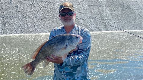 How To Remove The Otoliths Lucky Stones From A Freshwater Drum Youtube