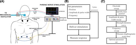 Noninvasive Phrenic Nerve Stimulation To Avoid Ventilatorinduced