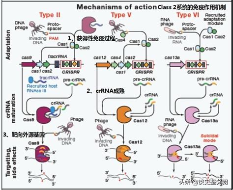 How Complex Is The Dynamic Change Of Rna Structure Imedia