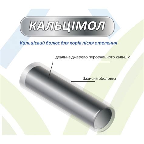 кальциевый болюс