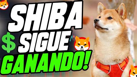 Shiba Inu Muy Por Encima Que Todo El Cripto Mercado Noticias Shiba