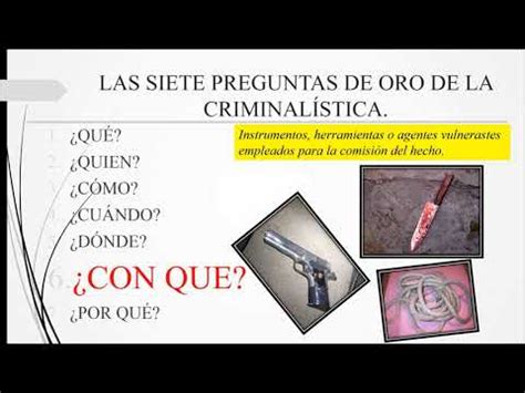 Siete Preguntas De Oro De La Investigaci N Criminal Criminalistica