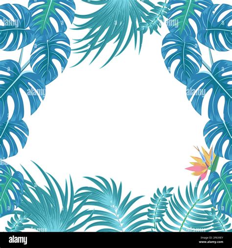 Vector Tropical Jungle Background With Palm Trees And Leaves Stock