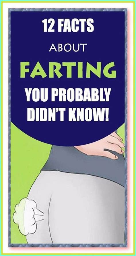 12 Facts About Farting Artofit