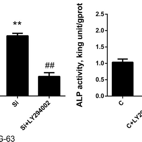 Standard Alp Enzyme Method For Analyzing Alp Activity In Mg 63 And Download Scientific Diagram