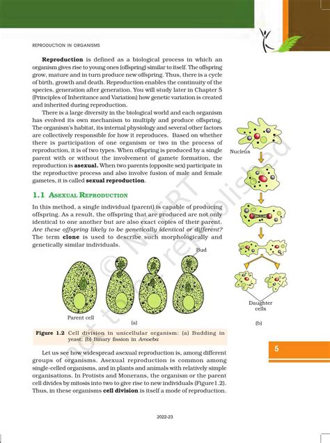 Ncert Book For Class 12 Biology Chapter 1 Reproduction In Organisms