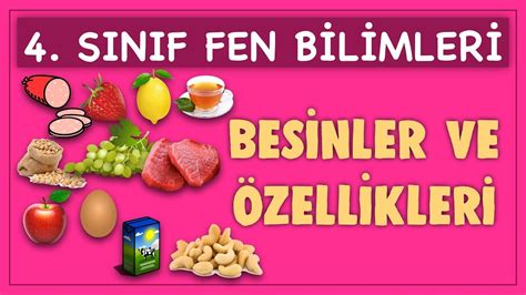 BESİNLER VE ÖZELLİKLERİ 1 1 4 SINIF FEN BİLİMLERİ DERSİ KONU