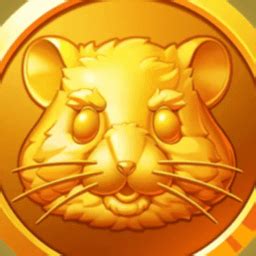 Hamster Kombat Combo Cards June R Hmstr Coin