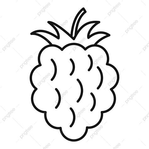 Raspberries Vector Png Images Raspberry Food Icon Outline Vector