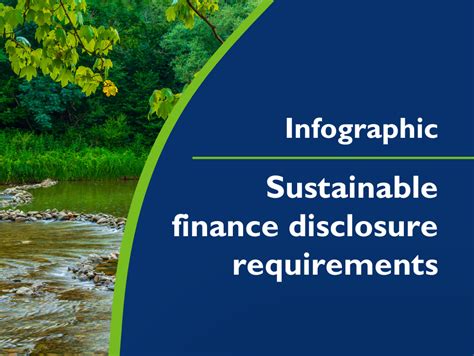 Infographic On Sustainable Finance Disclosure Requirements Eurosif