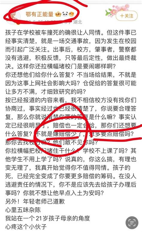 校内被撞身亡小学生母亲坠楼身亡，目前该事件调查进展情况如何？ 知乎