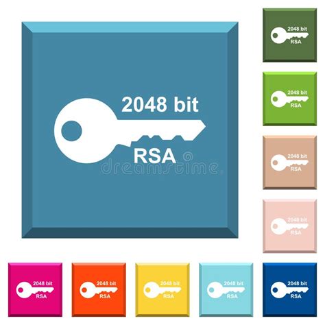 2048 Bit Rsa Encryption Flat Color Icons In Round Outlines Stock Vector