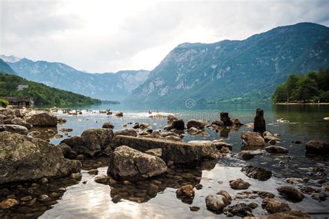 Belo Lago Bohinj Paisagem Eslovena Triglav National Park Julian Alps