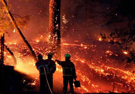 France Moves To Ban Smoking In Woodlands To Combat Growing Climate